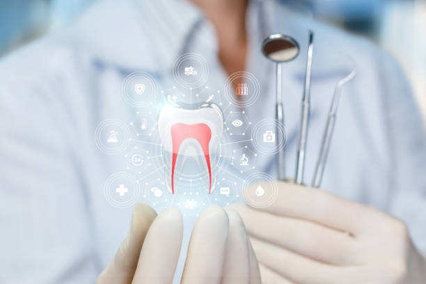 Best Full Mouth Reconstruction  in Olympia Fields, IL