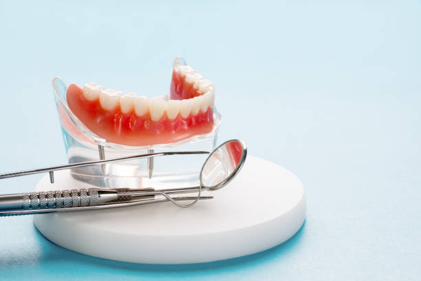 Best Preventive Dentistry  in Olympia Fields, IL